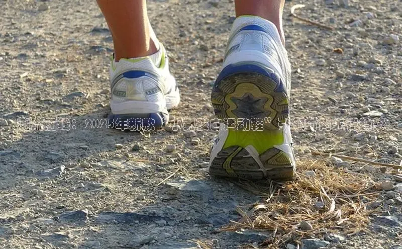 尊龙z6·(中国区)有限公司新版官网